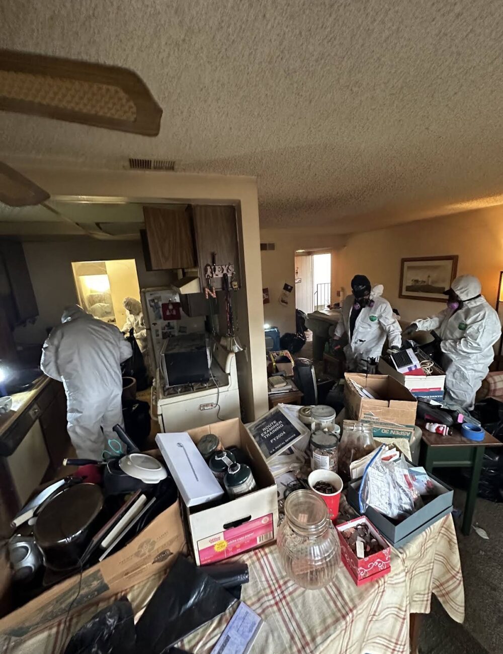 hoarder clean out
